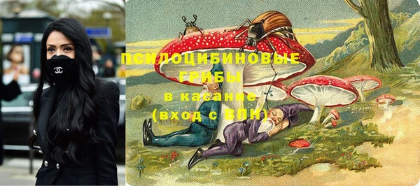 a pvp Арсеньев